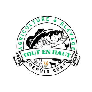 Tout En Haut